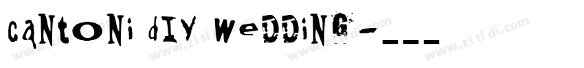 Cantoni DIY Wedding字体转换